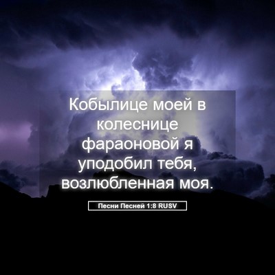 Picture 05 - Песни Песней 1:8 RUSV - Кобылице моей в колеснице - Bible Verse Picture