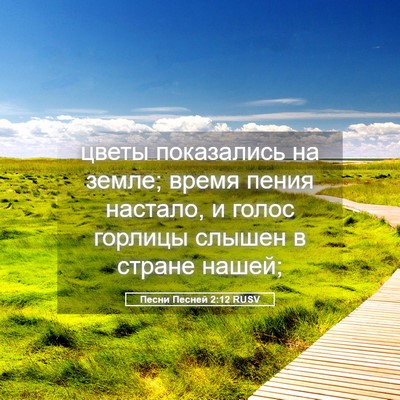 Picture 05 - Песни Песней 2:12 RUSV - цветы показались на земле; - Bible Verse Picture