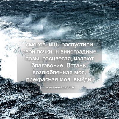 Picture 05 - Песни Песней 2:13 RUSV - смоковницы распустили - Bible Verse Picture