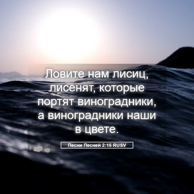 Picture 05 - Песни Песней 2:15 RUSV - Ловите нам лисиц, лисенят, - Bible Verse Picture