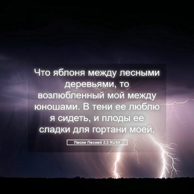 Picture 05 - Песни Песней 2:3 RUSV - Что яблоня между лесными - Bible Verse Picture