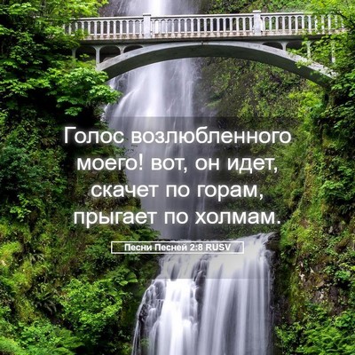 Picture 05 - Песни Песней 2:8 RUSV - Голос возлюбленного моего! - Bible Verse Picture
