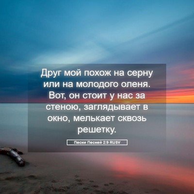 Picture 05 - Песни Песней 2:9 RUSV - Друг мой похож на серну или - Bible Verse Picture