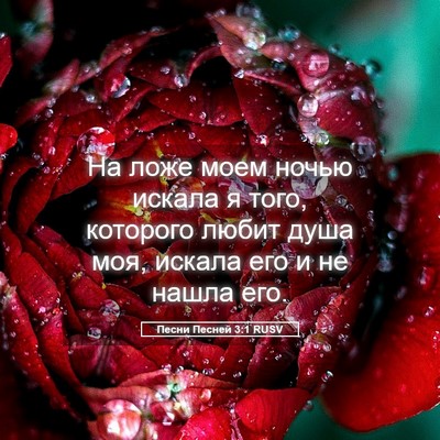 Picture 05 - Песни Песней 3:1 RUSV - На ложе моем ночью искала я - Bible Verse Picture