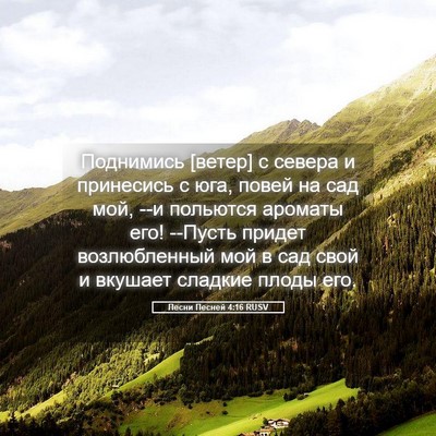 Picture 05 - Песни Песней 4:16 RUSV - Поднимись [ветер] с севера - Bible Verse Picture