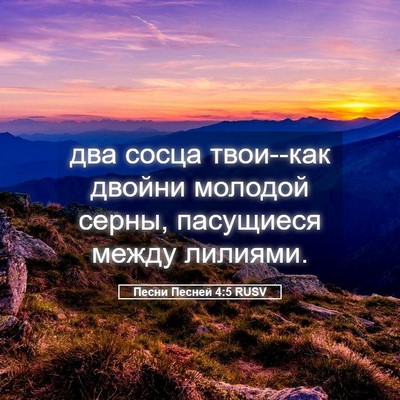 Picture 05 - Песни Песней 4:5 RUSV - два сосца твои--как двойни - Bible Verse Picture