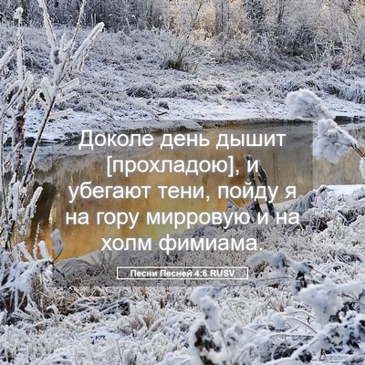 Picture 05 - Песни Песней 4:6 RUSV - Доколе день дышит - Bible Verse Picture