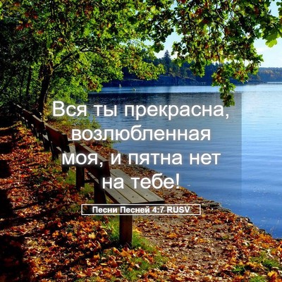 Picture 05 - Песни Песней 4:7 RUSV - Вся ты прекрасна, - Bible Verse Picture