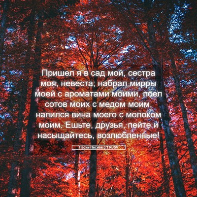 Picture 05 - Песни Песней 5:1 RUSV - Пришел я в сад мой, сестра - Bible Verse Picture