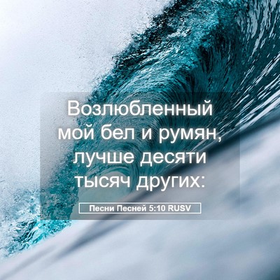 Picture 05 - Песни Песней 5:10 RUSV - Возлюбленный мой бел и - Bible Verse Picture
