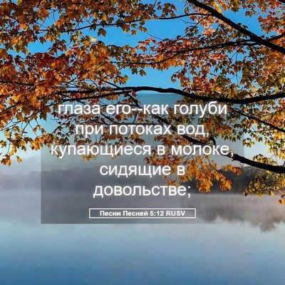 Picture 05 - Песни Песней 5:12 RUSV - глаза его--как голуби при - Bible Verse Picture