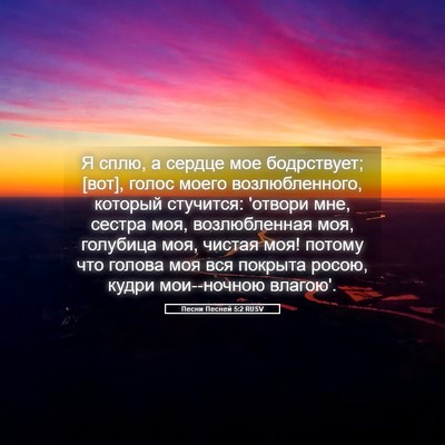 Picture 05 - Песни Песней 5:2 RUSV - Я сплю, а сердце мое - Bible Verse Picture