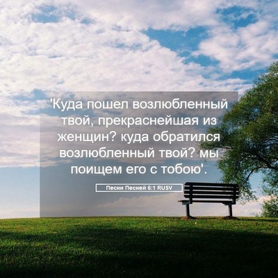 Picture 05 - Песни Песней 6:1 RUSV - 'Куда пошел возлюбленный - Bible Verse Picture