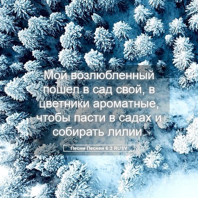 Picture 05 - Песни Песней 6:2 RUSV - Мой возлюбленный пошел в - Bible Verse Picture