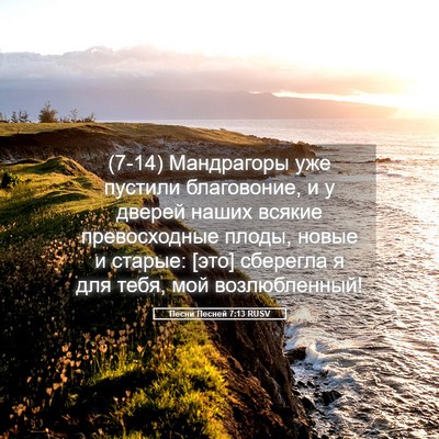 Picture 05 - Песни Песней 7:13 RUSV - (7-14) Мандрагоры уже пустили - Bible Verse Picture