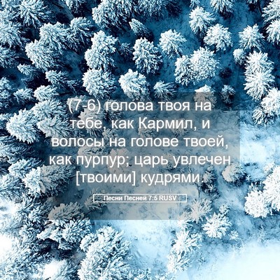 Picture 05 - Песни Песней 7:5 RUSV - (7-6) голова твоя на тебе, как - Bible Verse Picture