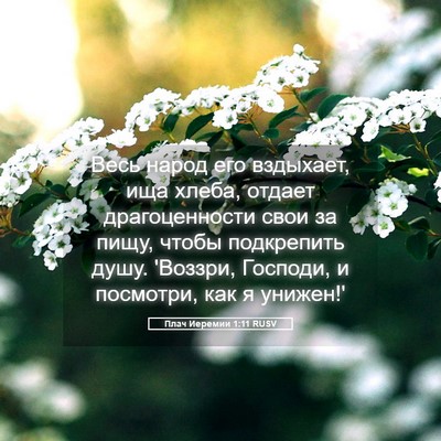 Picture 05 - Плач Иеремии 1:11 RUSV - Весь народ его вздыхает, - Bible Verse Picture