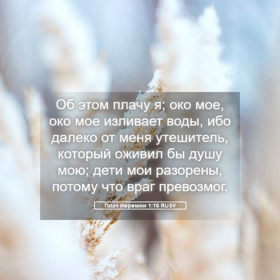 Picture 05 - Плач Иеремии 1:16 RUSV - Об этом плачу я; око мое, - Bible Verse Picture