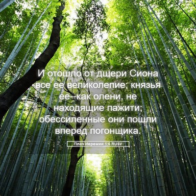 Picture 05 - Плач Иеремии 1:6 RUSV - И отошло от дщери Сиона все - Bible Verse Picture