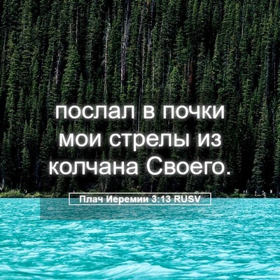 Picture 05 - Плач Иеремии 3:13 RUSV - послал в почки мои стрелы - Bible Verse Picture