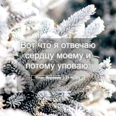 Picture 05 - Плач Иеремии 3:21 RUSV - Вот что я отвечаю сердцу - Bible Verse Picture