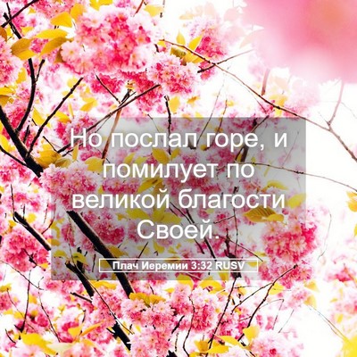 Picture 05 - Плач Иеремии 3:32 RUSV - Но послал горе, и помилует - Bible Verse Picture