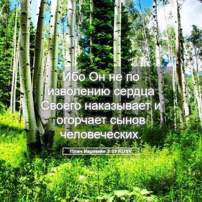 Picture 05 - Плач Иеремии 3:33 RUSV - Ибо Он не по изволению - Bible Verse Picture