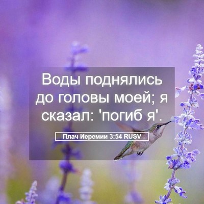 Picture 05 - Плач Иеремии 3:54 RUSV - Воды поднялись до головы - Bible Verse Picture