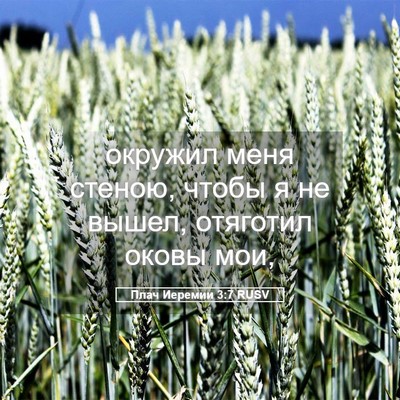 Picture 05 - Плач Иеремии 3:7 RUSV - окружил меня стеною, чтобы - Bible Verse Picture