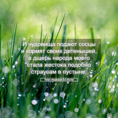 Picture 05 - Плач Иеремии 4:3 RUSV - И чудовища подают сосцы и - Bible Verse Picture