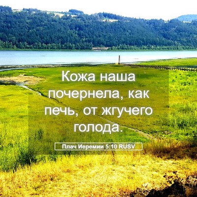 Picture 05 - Плач Иеремии 5:10 RUSV - Кожа наша почернела, как - Bible Verse Picture