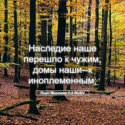 Picture 05 - Плач Иеремии 5:2 RUSV - Наследие наше перешло к - Bible Verse Picture