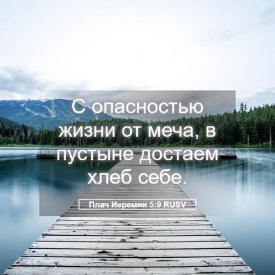 Picture 05 - Плач Иеремии 5:9 RUSV - С опасностью жизни от меча, - Bible Verse Picture