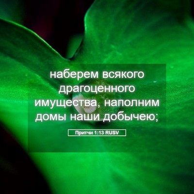 Picture 05 - Притчи 1:13 RUSV - наберем всякого - Bible Verse Picture