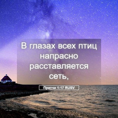 Picture 05 - Притчи 1:17 RUSV - В глазах всех птиц - Bible Verse Picture