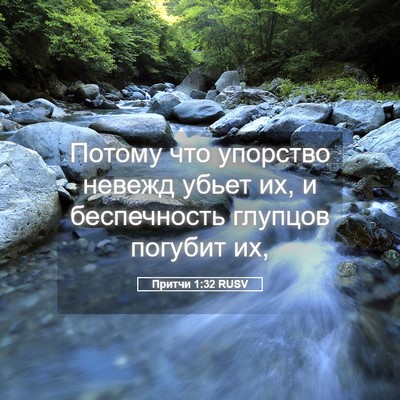 Picture 05 - Притчи 1:32 RUSV - Потому что упорство невежд - Bible Verse Picture