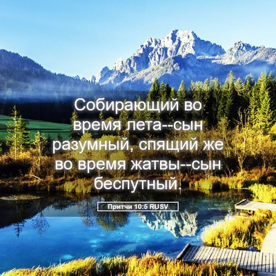 Picture 05 - Притчи 10:5 RUSV - Собирающий во время - Bible Verse Picture