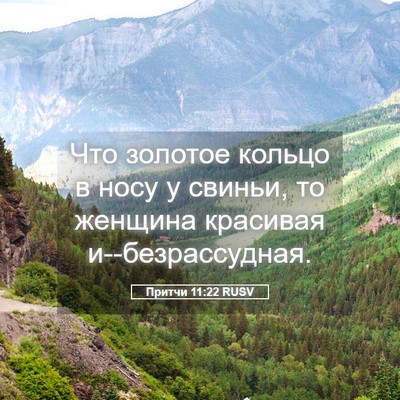 Picture 05 - Притчи 11:22 RUSV - Что золотое кольцо в носу у - Bible Verse Picture