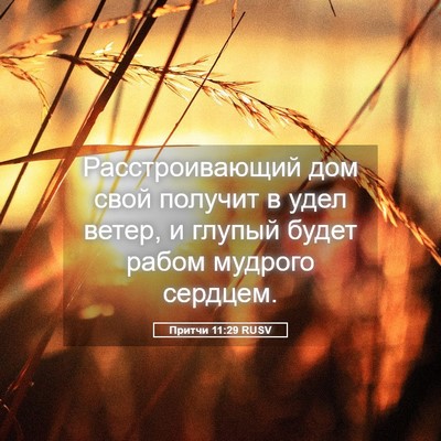 Picture 05 - Притчи 11:29 RUSV - Расстроивающий дом свой - Bible Verse Picture