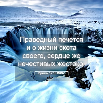 Picture 05 - Притчи 12:10 RUSV - Праведный печется и о - Bible Verse Picture