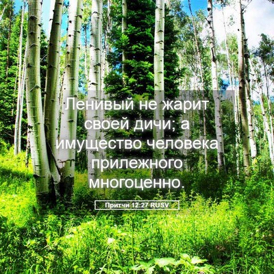 Picture 05 - Притчи 12:27 RUSV - Ленивый не жарит своей - Bible Verse Picture