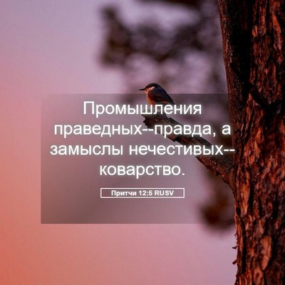 Picture 05 - Притчи 12:5 RUSV - Промышления - Bible Verse Picture