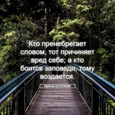 Picture 05 - Притчи 13:13 RUSV - Кто пренебрегает словом, - Bible Verse Picture