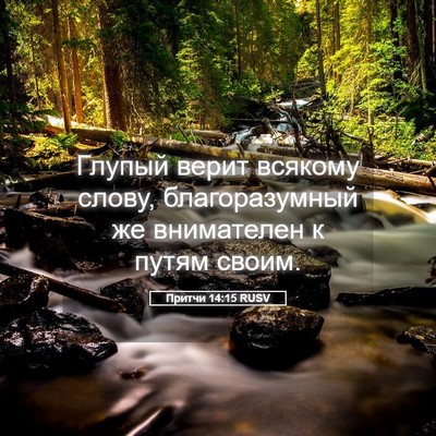Picture 05 - Притчи 14:15 RUSV - Глупый верит всякому - Bible Verse Picture
