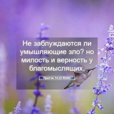 Picture 05 - Притчи 14:22 RUSV - Не заблуждаются ли - Bible Verse Picture