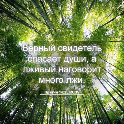 Picture 05 - Притчи 14:25 RUSV - Верный свидетель спасает - Bible Verse Picture