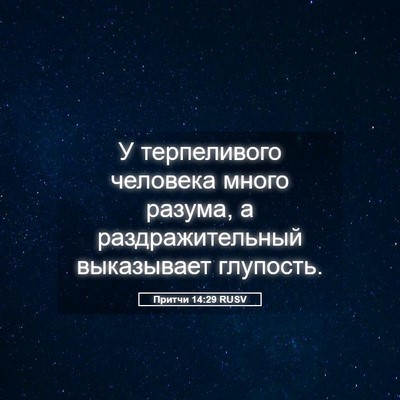 Picture 05 - Притчи 14:29 RUSV - У терпеливого человека - Bible Verse Picture