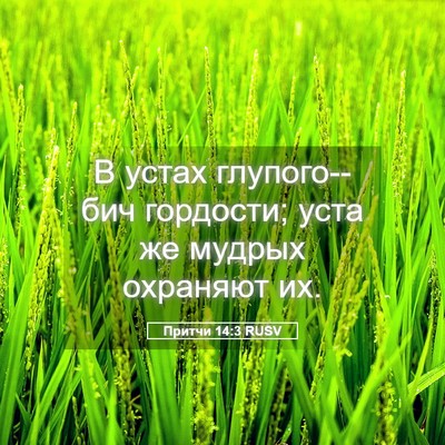 Picture 05 - Притчи 14:3 RUSV - В устах глупого--бич - Bible Verse Picture