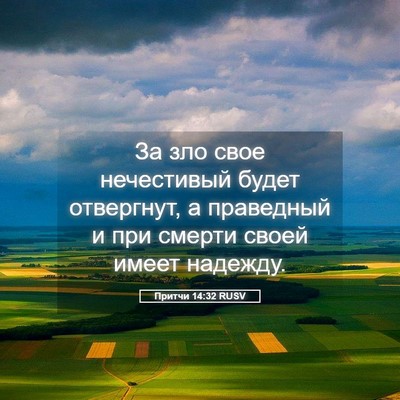 Picture 05 - Притчи 14:32 RUSV - За зло свое нечестивый - Bible Verse Picture