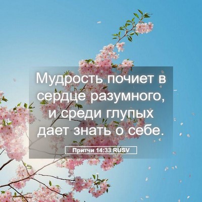 Picture 05 - Притчи 14:33 RUSV - Мудрость почиет в сердце - Bible Verse Picture